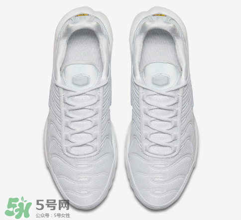 nike air max plus ice blue多少錢？耐克氣墊plus冰藍(lán)配色價(jià)格