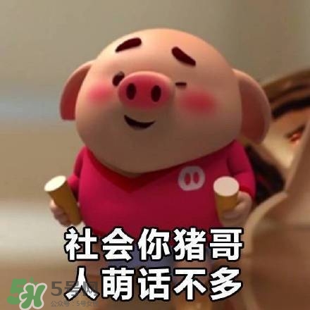 豬小屁表情包是什么？豬小屁表情包為什么這么火？