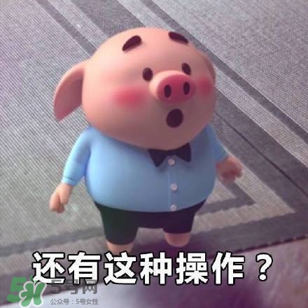 豬小屁表情包是什么？豬小屁表情包為什么這么火？