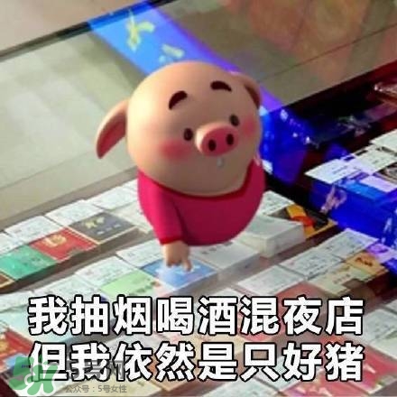 豬小屁表情包是什么？豬小屁表情包為什么這么火？