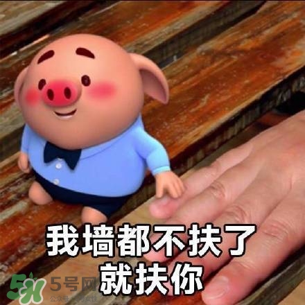 豬小屁表情包是什么？豬小屁表情包為什么這么火？