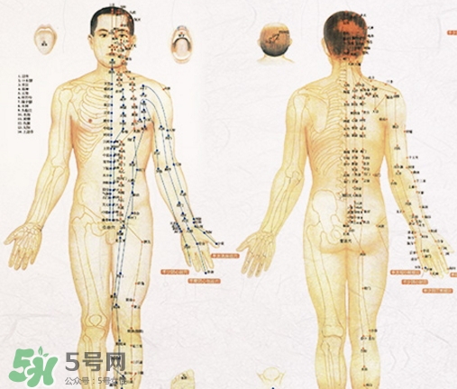 貼三伏貼可以吃西瓜嗎？貼三伏貼吃西瓜有什么害處