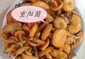 重陽(yáng)菌多少錢一斤？重陽(yáng)菌怎么清洗