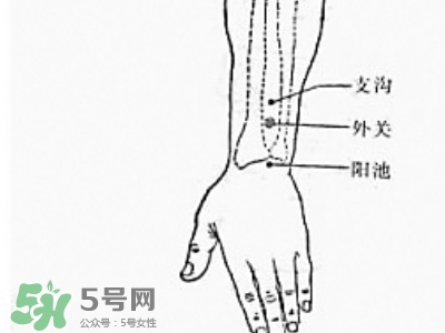 三伏貼能治過(guò)敏性鼻炎嗎？三伏貼治過(guò)敏性鼻炎貼哪里？