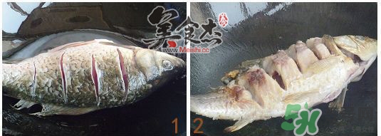 三伏灸可以吃魚嗎？三伏灸可以吃什么魚？