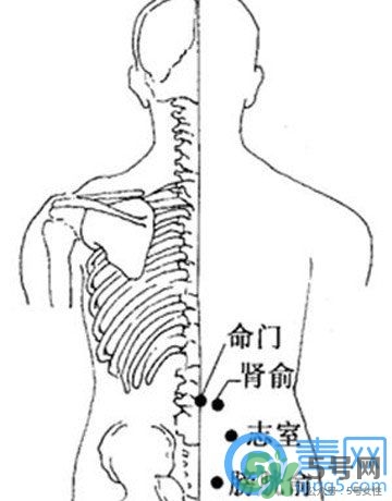 三伏灸可以治腰腿痛嗎？三伏灸治腰腿痛灸哪里》