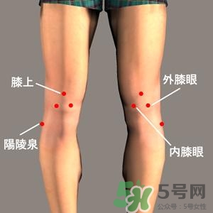 三伏灸可以治腰腿痛嗎？三伏灸治腰腿痛灸哪里》