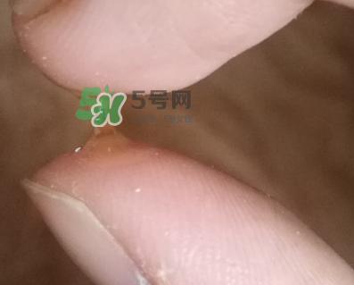 SKINCEUTICALS修麗可夜間精華怎么樣_好用嗎？