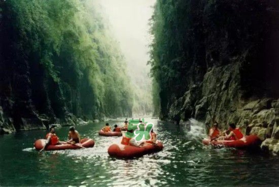 漂流需要準備什么東西？漂流哪里最好玩？