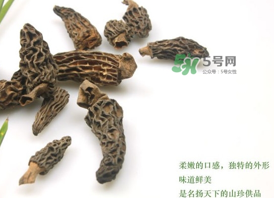 野生羊肚菌多少錢(qián)一斤？干羊肚菌多少錢(qián)一斤