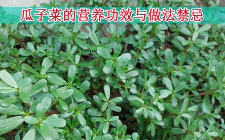 梅干菜會(huì)致癌嗎？致癌屬誤傳