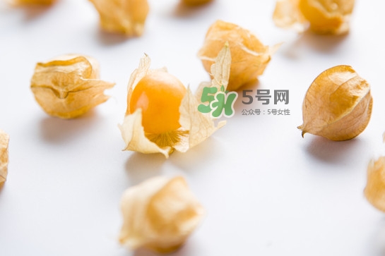 菇娘是寒性還是熱性？菇娘是哪里產(chǎn)的