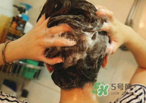 hair recipe水果洗發(fā)水怎么樣？hair recipe洗發(fā)水哪款好用