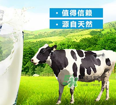 牛初乳是奶粉嗎？牛初乳跟奶粉的區(qū)別