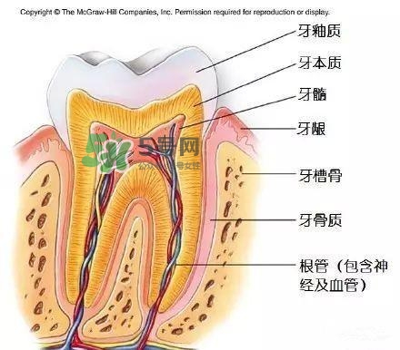 regenerate牙膏多少錢？regenerate牙膏專柜價格