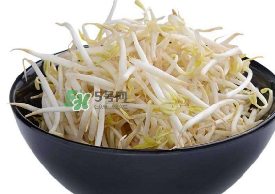 豆芽什么季節(jié)吃？豆芽什么時候有