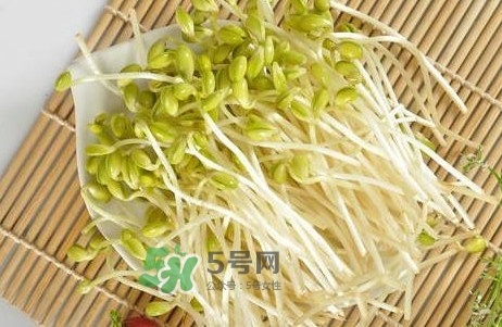 豆芽有根好還是無根好？無根豆芽與有根豆芽區(qū)別