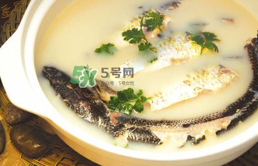 黃蜂魚怎么煮好吃？黃蜂魚燉湯孕婦可以喝嗎