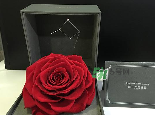 roseonly永生花可以保存多久？roseonly永生花保養(yǎng)