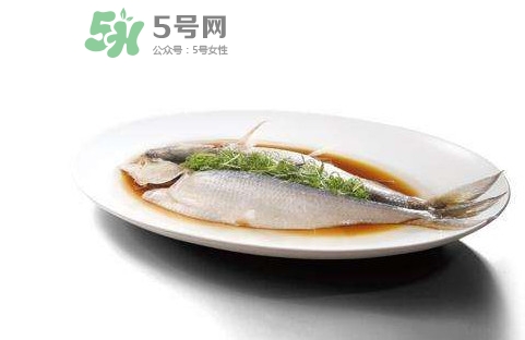 鰣魚還有嗎？長江鰣魚滅絕了嗎