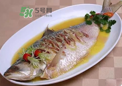 鰣魚怎么讀？鰣魚是什么魚