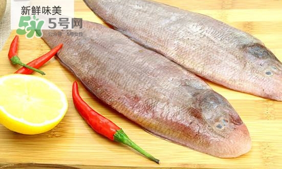 龍利魚怎么挑選？龍利魚與越南巴沙魚的區(qū)別