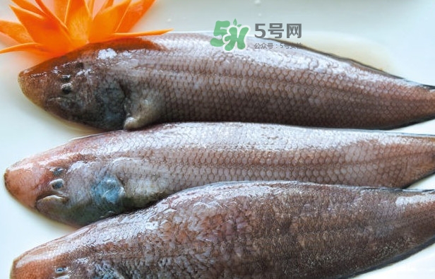 龍利魚(yú)怎么做給寶寶吃？龍利魚(yú)怎么處理