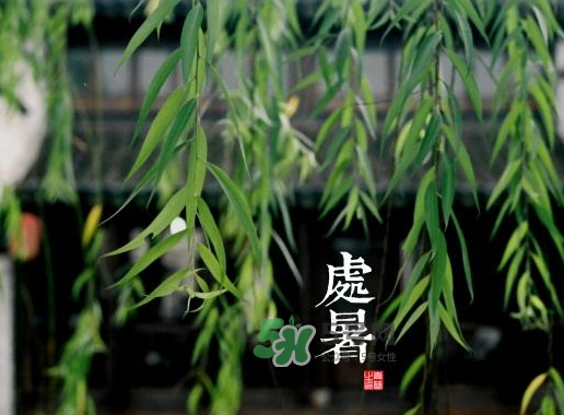 2017處暑還熱嗎？2017處暑后天氣還熱嗎？