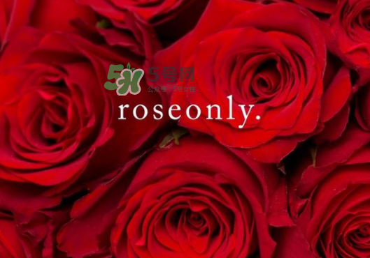 2017七夕禮盒roseonly多少錢？roseonly巨型玫瑰禮盒多少錢？