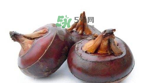 野荸薺怎么吃？野荸薺的食用功效