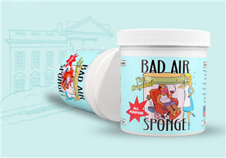 Bad Air Sponge有用嗎？Bad Air Sponge效果如何？