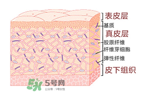 毛孔粗大用什么護(hù)膚品 毛孔粗大原因及對(duì)策