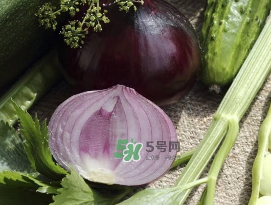 皮芽子發(fā)芽了可以吃嗎？新疆人為什么都愛吃皮芽子