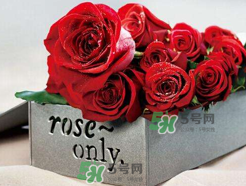 roseonly怎么看真假？roseonly真假對(duì)比