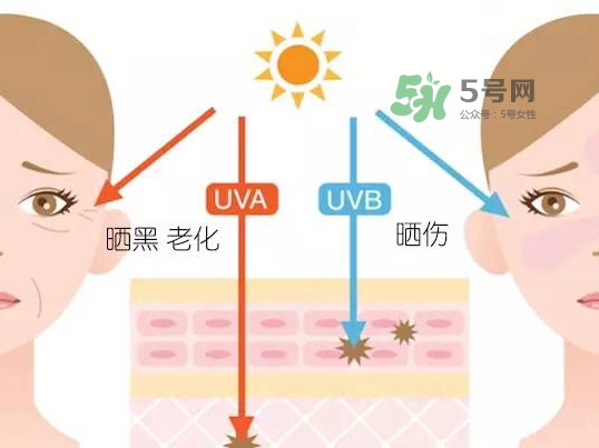 uva uvb是什么意思 防曬小知識科普