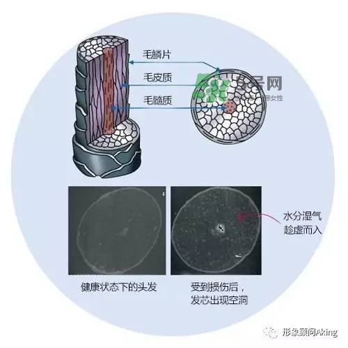 無(wú)硅油洗發(fā)水為什么貴 無(wú)硅油洗發(fā)水真的好嗎