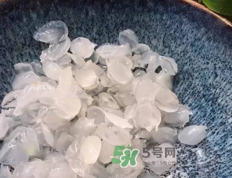 皂角米可以直接煮嗎？皂角米和什么一起煮好