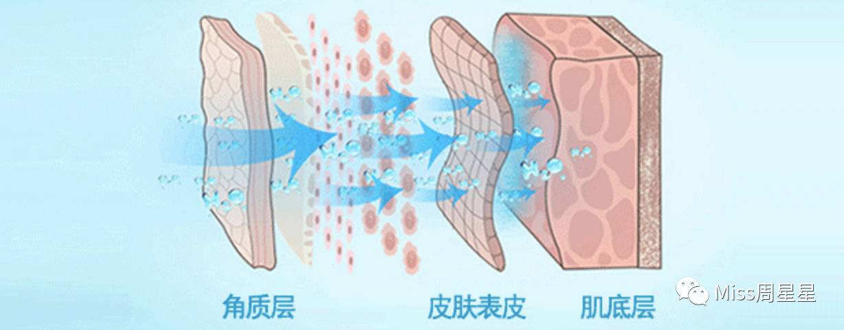 蒸臉器的最佳使用方法 蒸臉器哪個(gè)牌子好