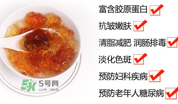 桃膠是桃樹上的膠嗎？桃膠是什么味道