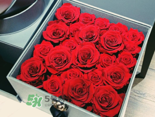 roseonly怎么買？roseonly如何買第二次？