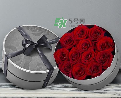 roseonly怎么讀？roseonly怎么讀在線讀？