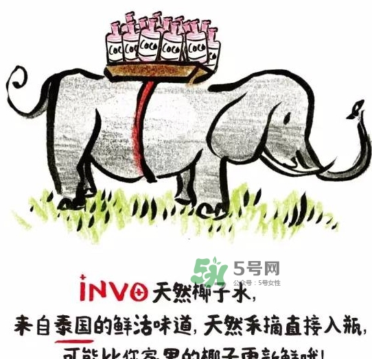 invo椰子水多少錢(qián)？invo椰子水好喝嗎？