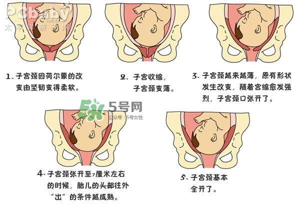 生孩子的過程是怎樣的？生孩子的真實過程