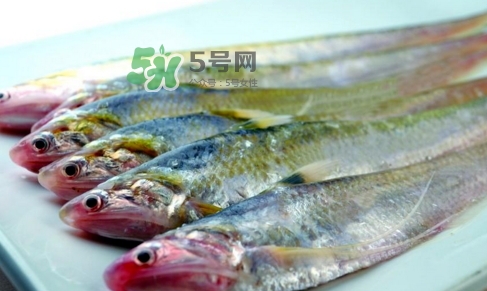 刁子魚是秋刀魚嗎？刁子魚是海魚嗎？