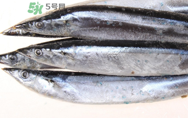 秋刀魚是海魚嗎？秋刀魚是淡水魚還是海魚