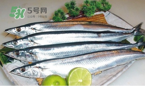 沙丁魚(yú)和秋刀魚(yú)有什么不一樣？秋刀魚(yú)和沙丁魚(yú)的區(qū)別