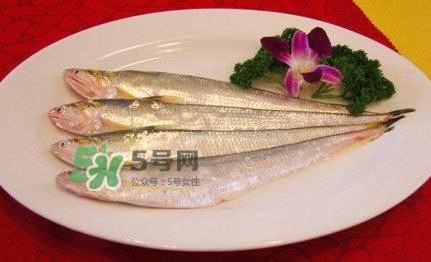 秋刀魚是刀魚嗎？秋刀魚和刀魚的區(qū)別