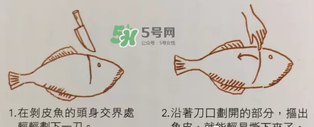 剝皮魚為什么要剝皮？剝皮魚的皮有毒嗎？