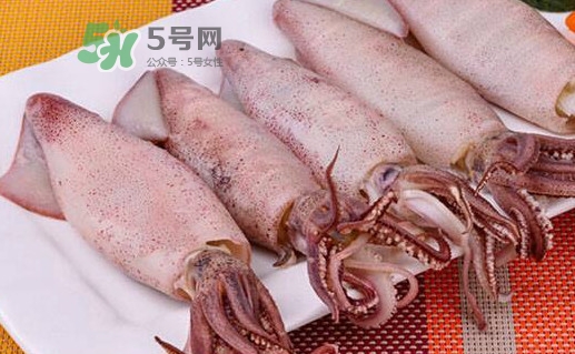 海兔子是小魷魚嗎？海兔子和魷魚的區(qū)別