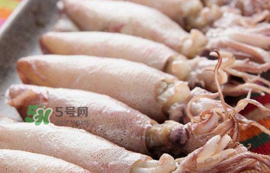 海兔子是小魷魚嗎？海兔子和魷魚的區(qū)別